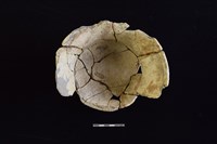 陶盆藏品圖，第2張